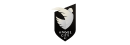 Angel City FC Fellow