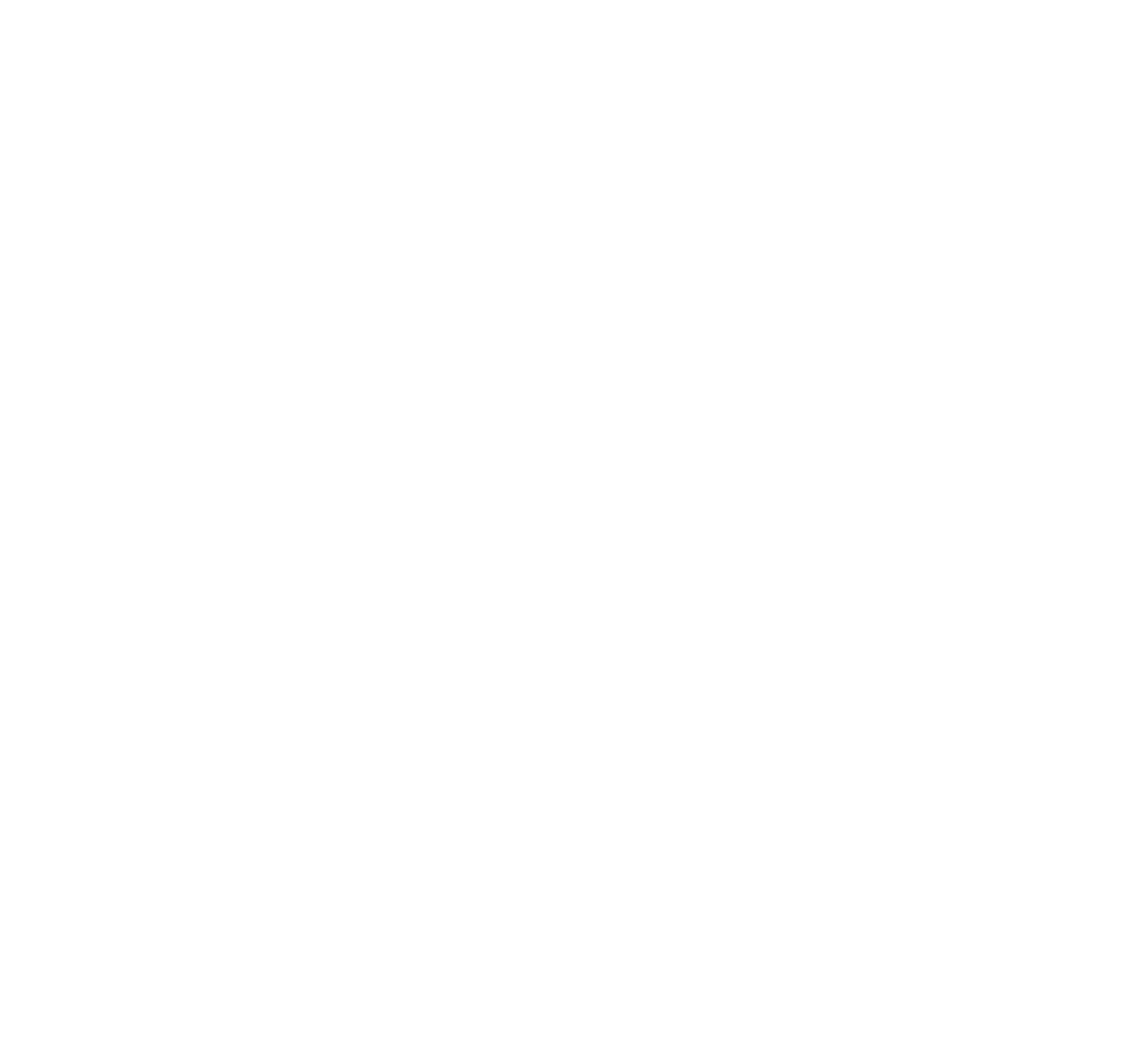 IFW_IFundWomen_Logo_White